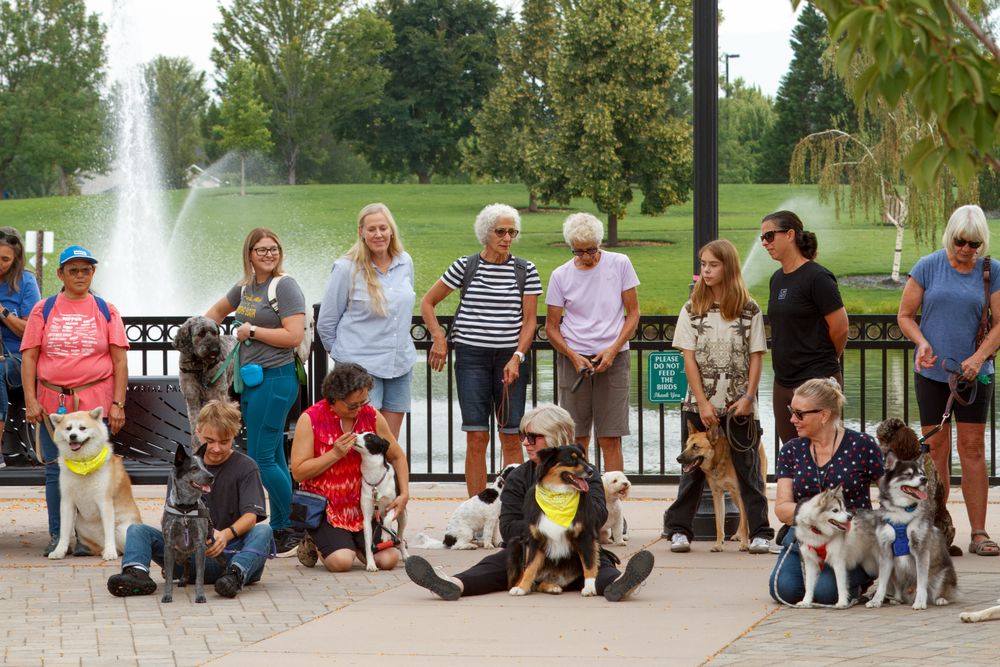 Group photo of dogs and people gathered by a fountain